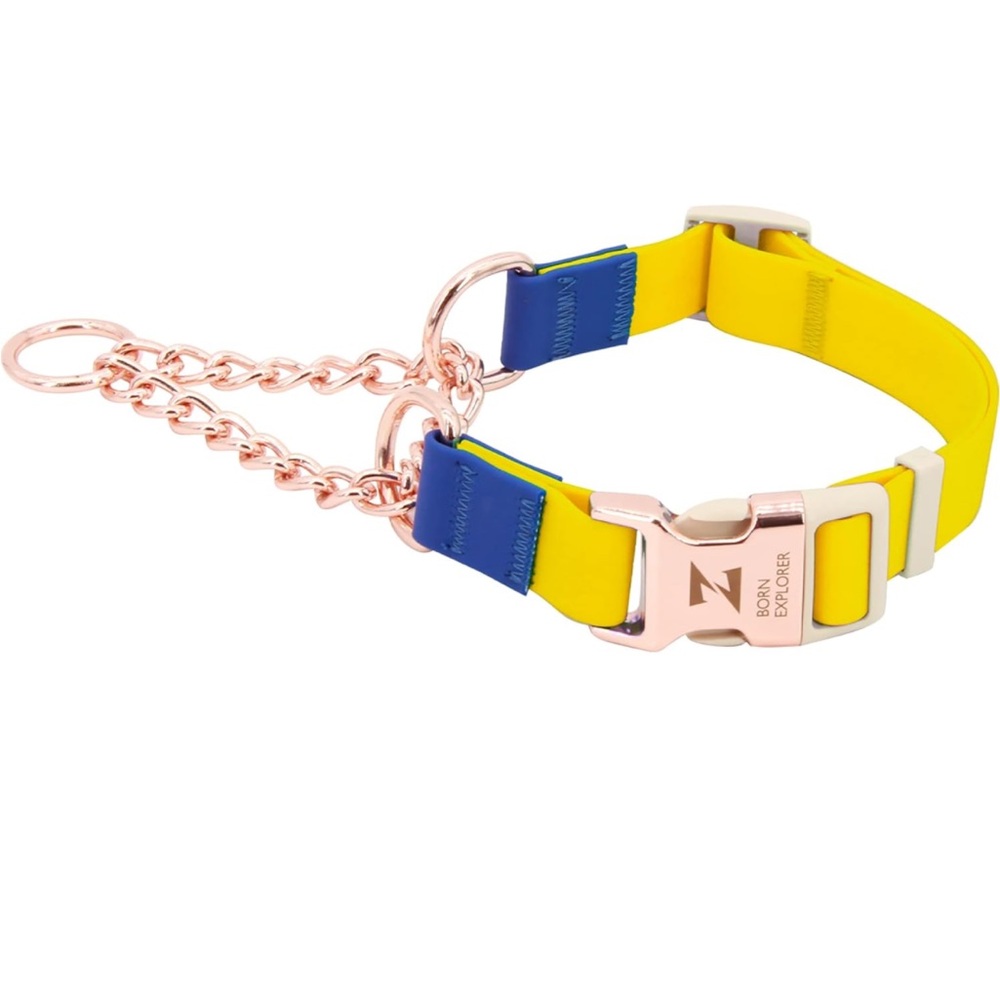 Dog collar and Leash - Waterproof, Matching yellow and blue color block.